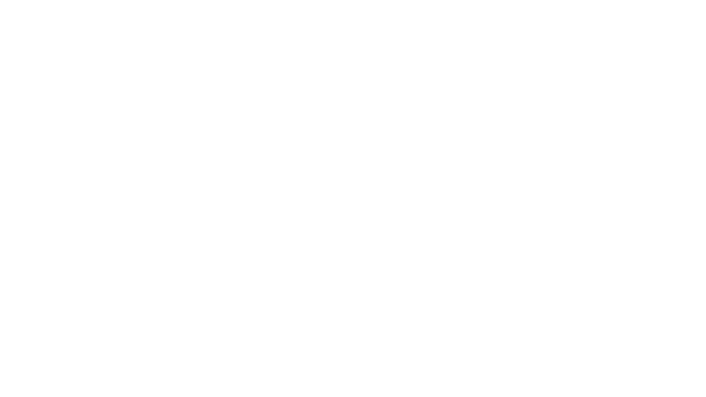 BI-2